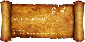 Hollub Anikó névjegykártya