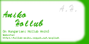 aniko hollub business card
